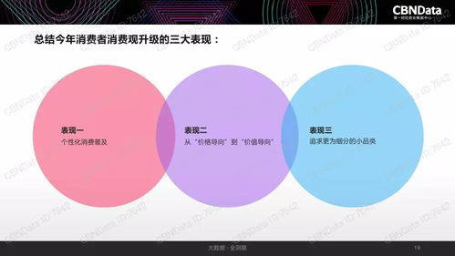 2017中國互聯(lián)網(wǎng)消費(fèi)生態(tài)大數(shù)據(jù)報(bào)告 洞察互聯(lián)網(wǎng)數(shù)據(jù)服務(wù)新趨勢